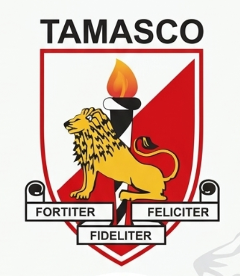 TAMALE SENIOR HIGH SCHOOL